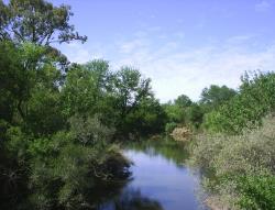 Vaal River